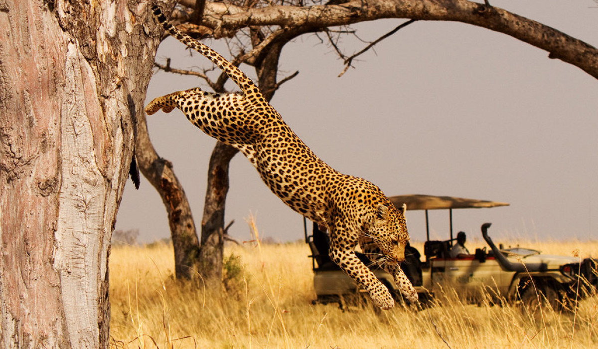 Akagera National Park