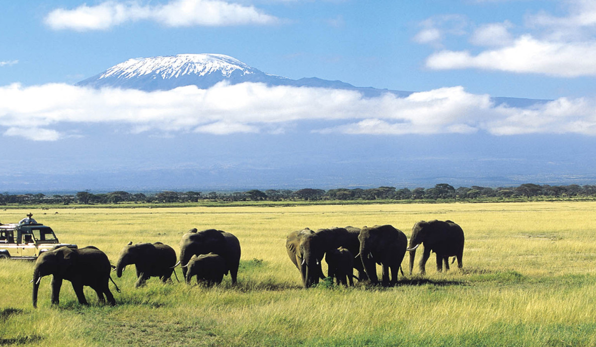 Amboseli National Park