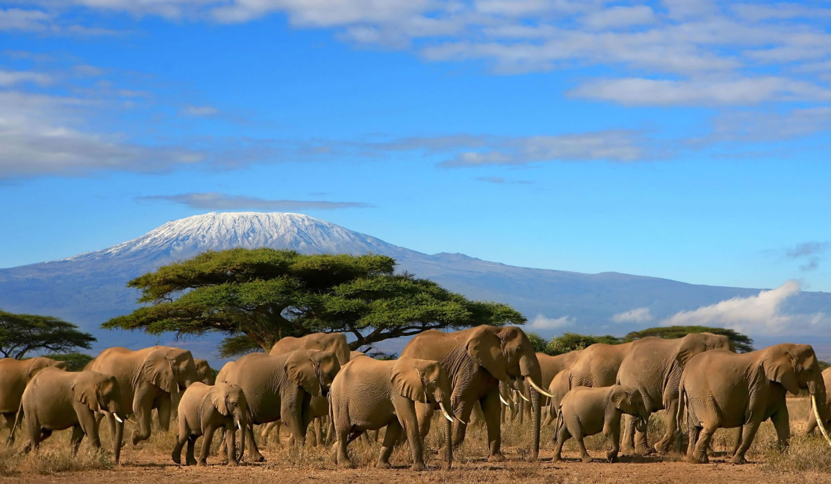 Amboseli National Park