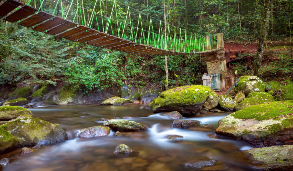 Udzungwa Mountains National Park