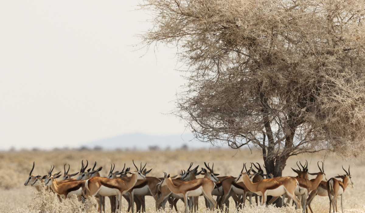 Sibiloi National Park