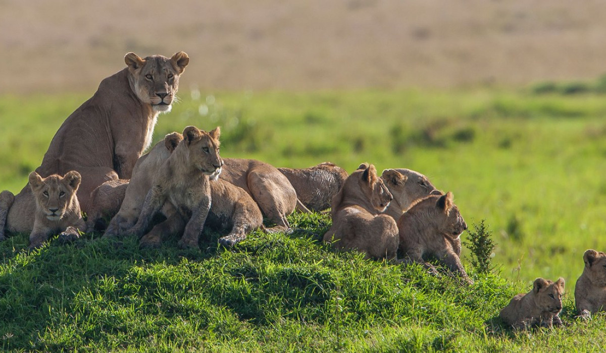 Sibiloi National Park