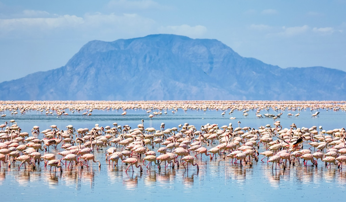 Lake Natron