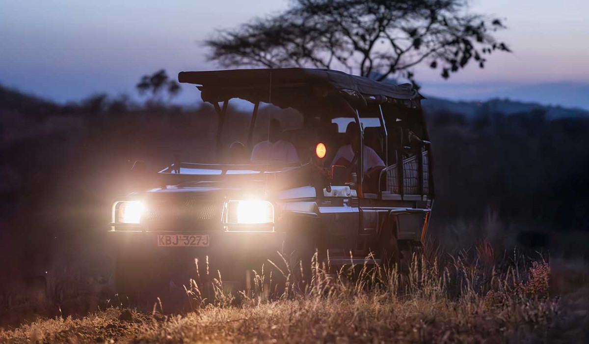 Night Game Drive
