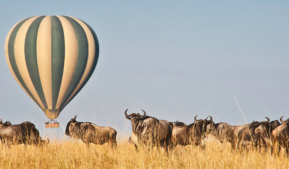 Hot Air Balloon Safaris