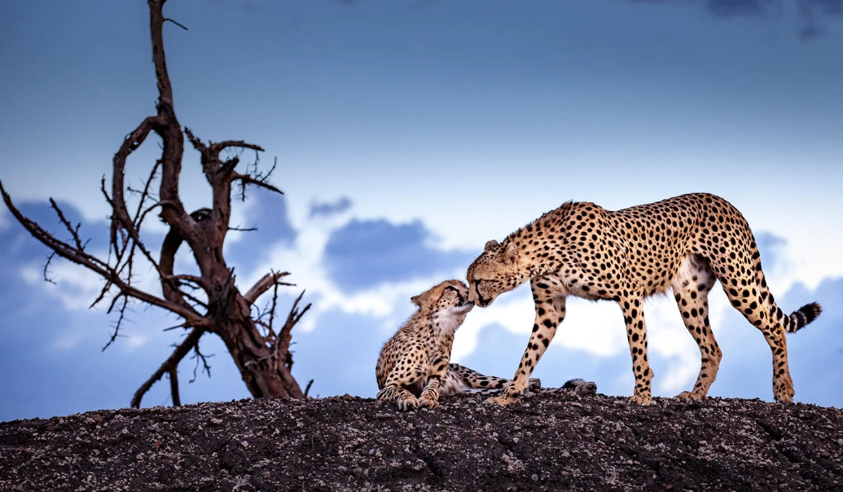 Soulful Journeys Across East Africa