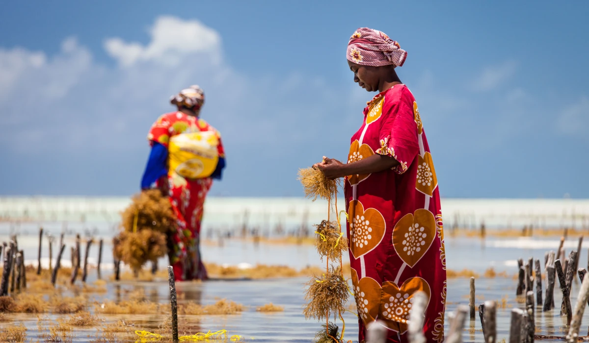 East Africa Pristine Beaches
