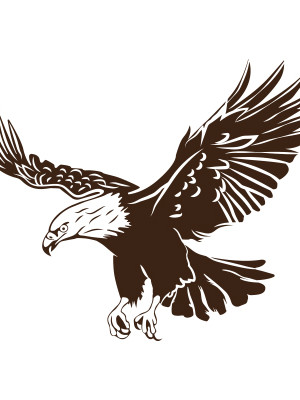 eaglesouladventure